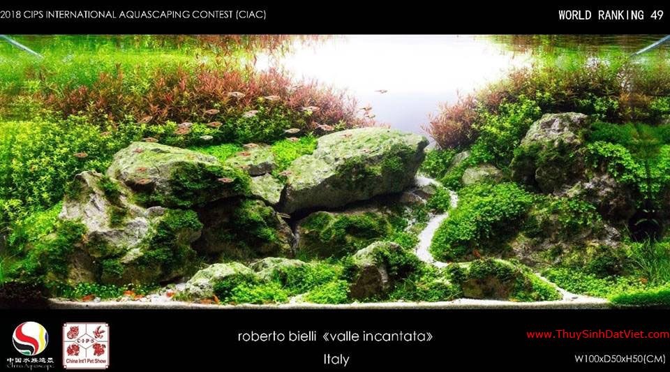 Hồ thủy sinh đạt hạng 49 trong cuộc thi CIAC 2018 Hồ thủy sinh đạt hạng 49 trong cuộc thi CIAC 2018