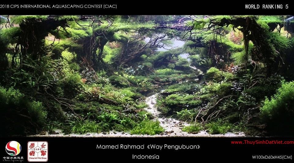 Hồ thủy sinh đạt hạng 5 trong cuộc thi CIAC 2018 Hồ thủy sinh đạt hạng 5 trong cuộc thi CIAC 2018