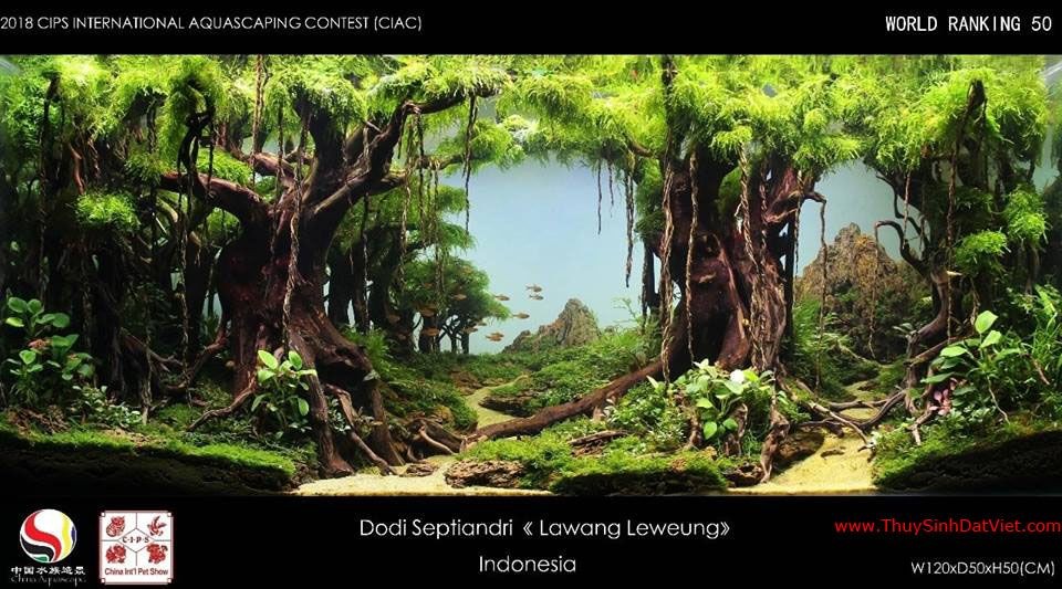 Hồ thủy sinh đạt hạng 50 trong cuộc thi CIAC 2018 Hồ thủy sinh đạt hạng 50 trong cuộc thi CIAC 2018