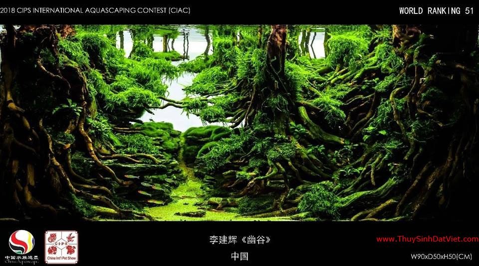 Hồ thủy sinh đạt hạng 51 trong cuộc thi CIAC 2018 Hồ thủy sinh đạt hạng 51 trong cuộc thi CIAC 2018