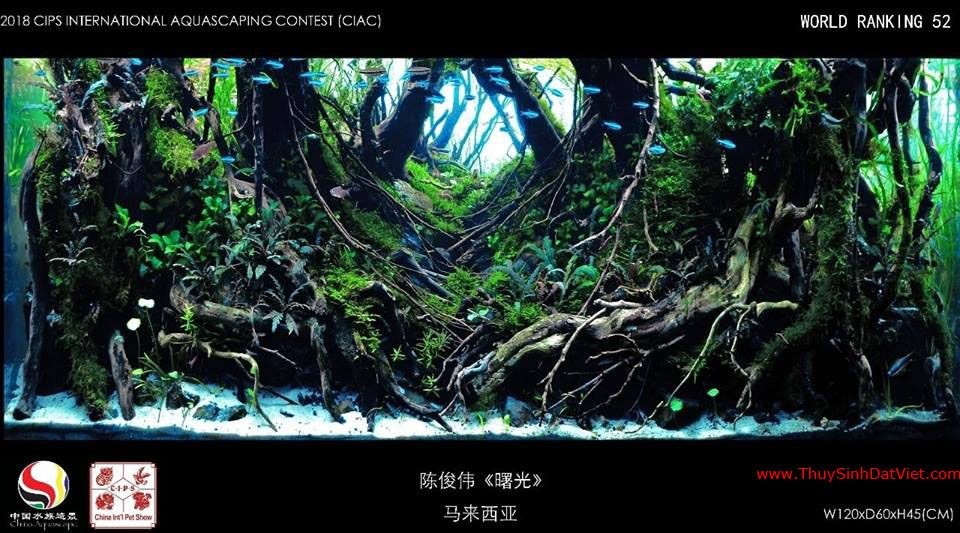 Hồ thủy sinh đạt hạng 52 trong cuộc thi CIAC 2018 Hồ thủy sinh đạt hạng 52 trong cuộc thi CIAC 2018