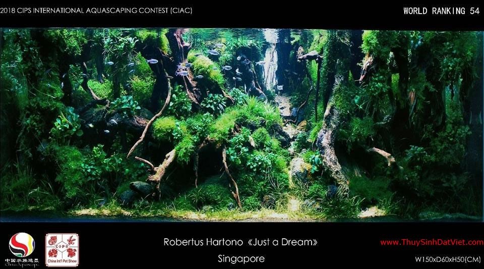 Hồ thủy sinh đạt hạng 54 trong cuộc thi CIAC 2018 Hồ thủy sinh đạt hạng 54 trong cuộc thi CIAC 2018