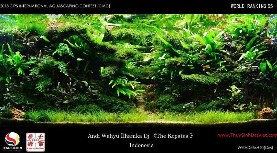 Hồ thủy sinh đạt hạng 55 trong cuộc thi CIAC 2018 Hồ thủy sinh đạt hạng 55 trong cuộc thi CIAC 2018