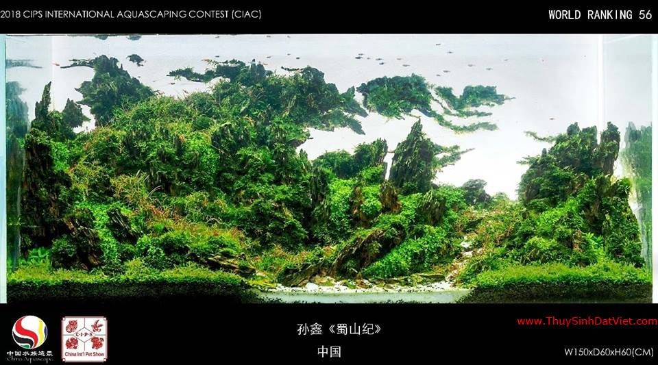 Hồ thủy sinh đạt hạng 56 trong cuộc thi CIAC 2018 Hồ thủy sinh đạt hạng 56 trong cuộc thi CIAC 2018