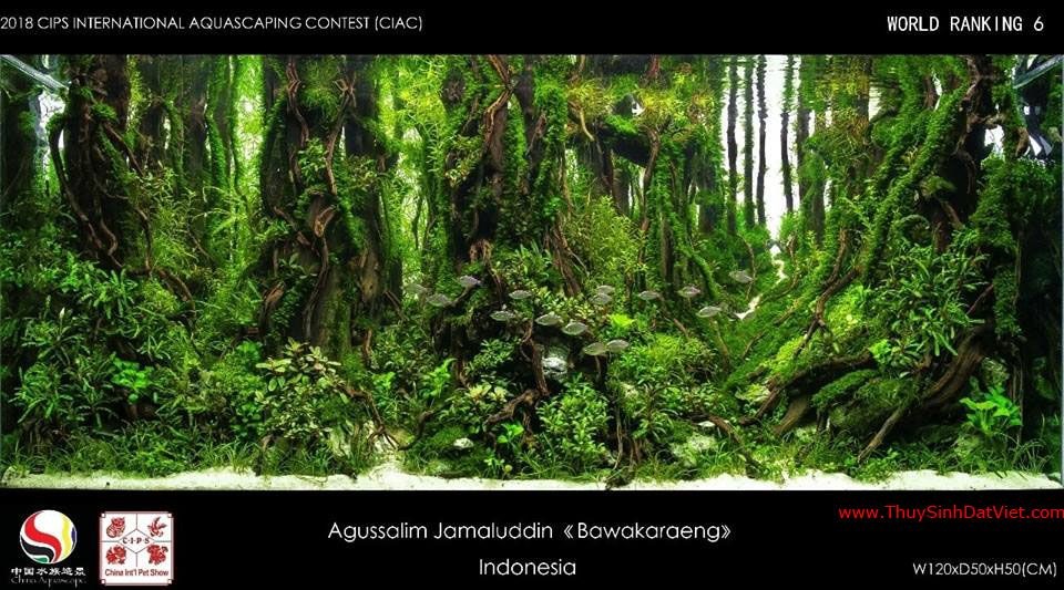 Hồ thủy sinh đạt hạng 6 trong cuộc thi CIAC 2018 Hồ thủy sinh đạt hạng 6 trong cuộc thi CIAC 2018