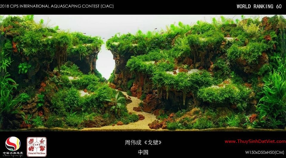 Hồ thủy sinh đạt hạng 60 trong cuộc thi CIAC 2018 Hồ thủy sinh đạt hạng 60 trong cuộc thi CIAC 2018