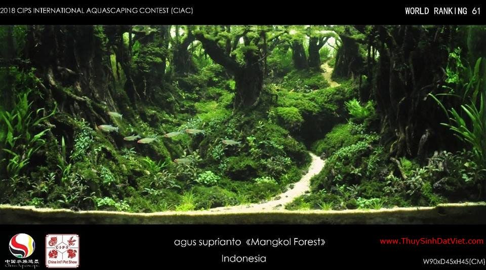 Hồ thủy sinh đạt hạng 61 trong cuộc thi CIAC 2018 Hồ thủy sinh đạt hạng 61 trong cuộc thi CIAC 2018