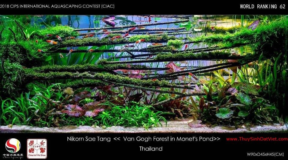 Hồ thủy sinh đạt hạng 62 trong cuộc thi CIAC 2018 Hồ thủy sinh đạt hạng 62 trong cuộc thi CIAC 2018