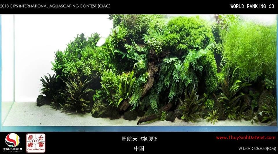 Hồ thủy sinh đạt hạng 63 trong cuộc thi CIAC 2018 Hồ thủy sinh đạt hạng 63 trong cuộc thi CIAC 2018