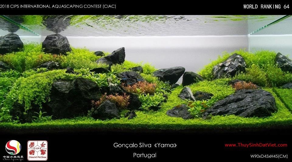 Hồ thủy sinh đạt hạng 64 trong cuộc thi CIAC 2018 Hồ thủy sinh đạt hạng 64 trong cuộc thi CIAC 2018