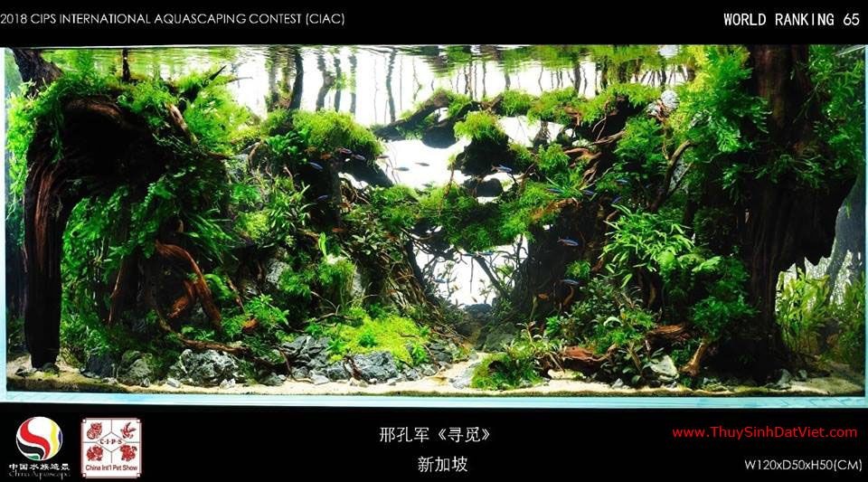 Hồ thủy sinh đạt hạng 65 trong cuộc thi CIAC 2018 Hồ thủy sinh đạt hạng 65 trong cuộc thi CIAC 2018