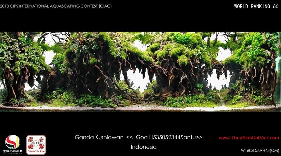 Hồ thủy sinh đạt hạng 66 trong cuộc thi CIAC 2018 Hồ thủy sinh đạt hạng 66 trong cuộc thi CIAC 2018