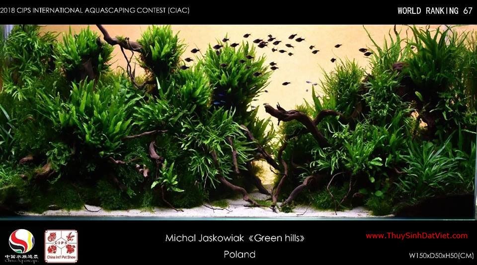 Hồ thủy sinh đạt hạng 67 trong cuộc thi CIAC 2018 Hồ thủy sinh đạt hạng 67 trong cuộc thi CIAC 2018
