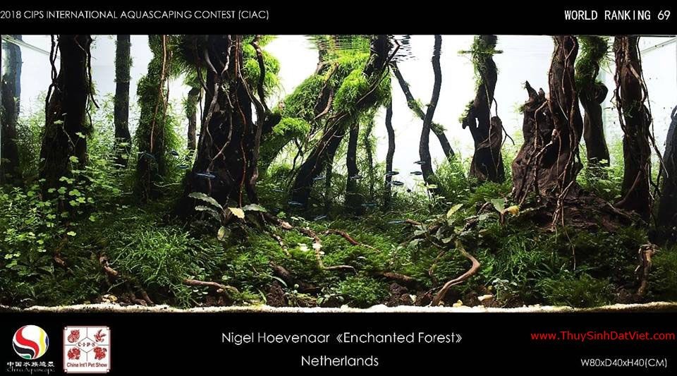 Hồ thủy sinh đạt hạng 69 trong cuộc thi CIAC 2018 Hồ thủy sinh đạt hạng 69 trong cuộc thi CIAC 2018