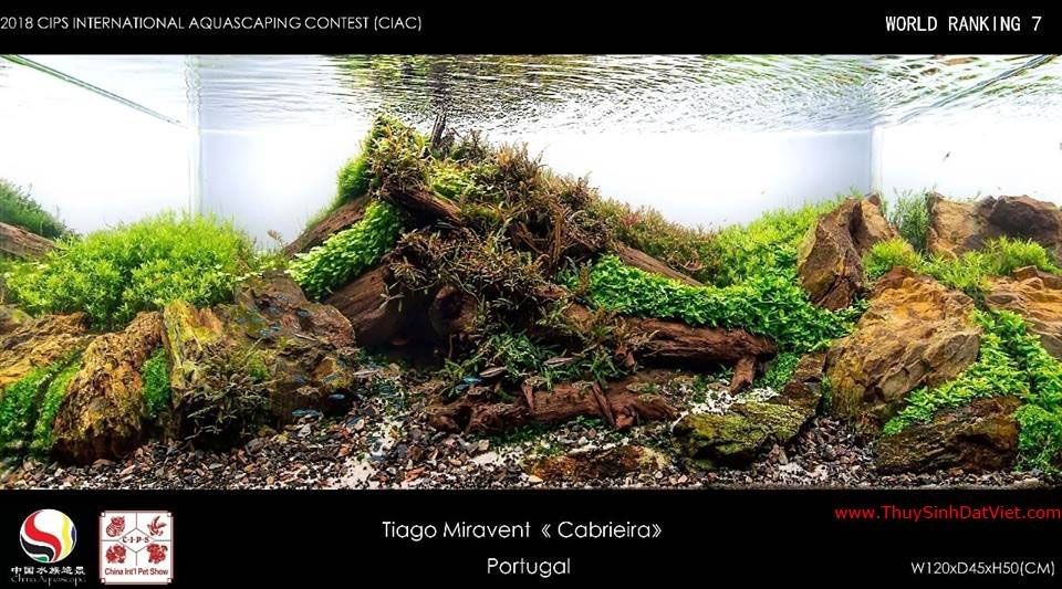 Hồ thủy sinh đạt hạng 7 trong cuộc thi CIAC 2018 Hồ thủy sinh đạt hạng 7 trong cuộc thi CIAC 2018