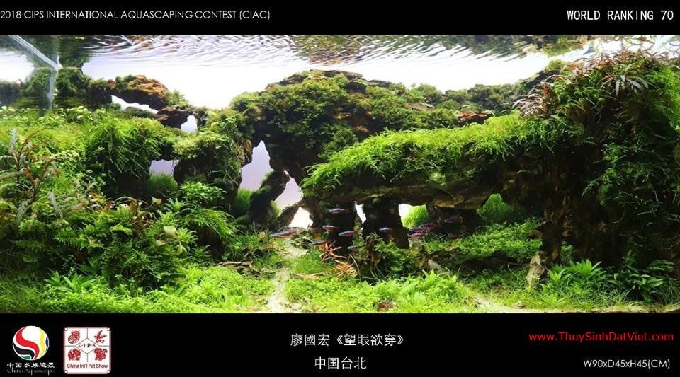 Hồ thủy sinh đạt hạng 70 trong cuộc thi CIAC 2018 Hồ thủy sinh đạt hạng 70 trong cuộc thi CIAC 2018