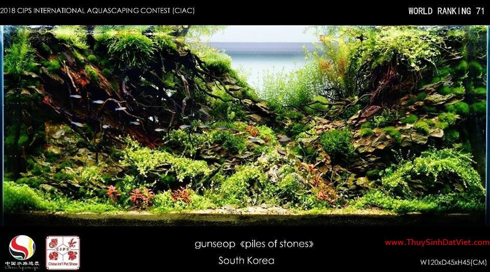 Hồ thủy sinh đạt hạng 71 trong cuộc thi CIAC 2018 Hồ thủy sinh đạt hạng 71 trong cuộc thi CIAC 2018