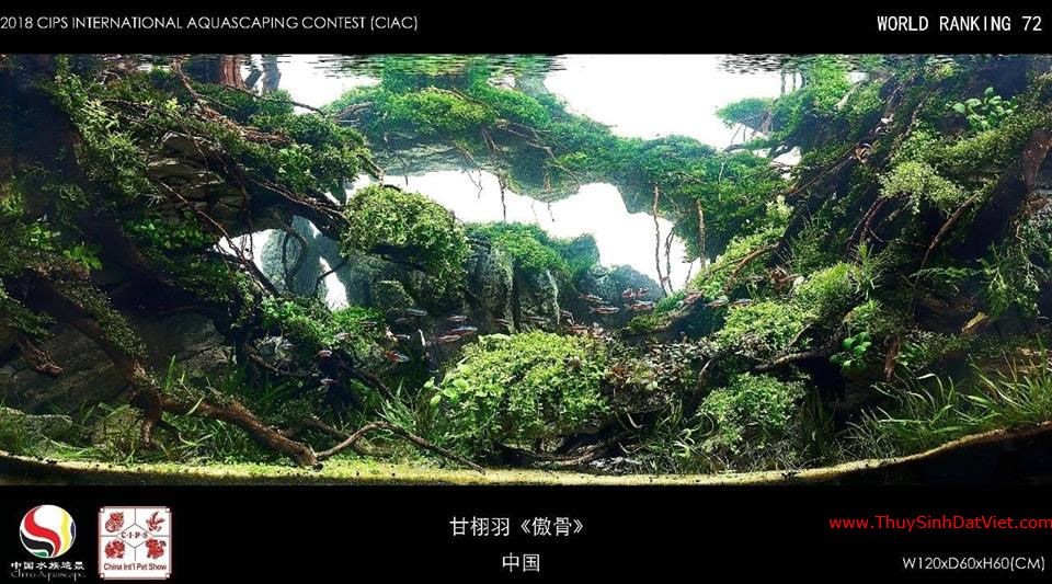 Hồ thủy sinh đạt hạng 72 trong cuộc thi CIAC 2018 Hồ thủy sinh đạt hạng 72 trong cuộc thi CIAC 2018