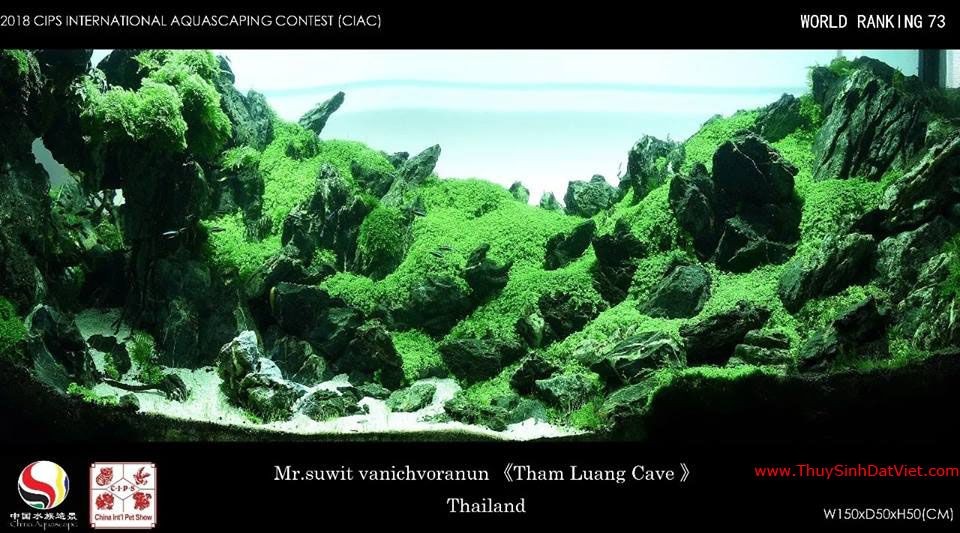 Hồ thủy sinh đạt hạng 73 trong cuộc thi CIAC 2018 Hồ thủy sinh đạt hạng 73 trong cuộc thi CIAC 2018