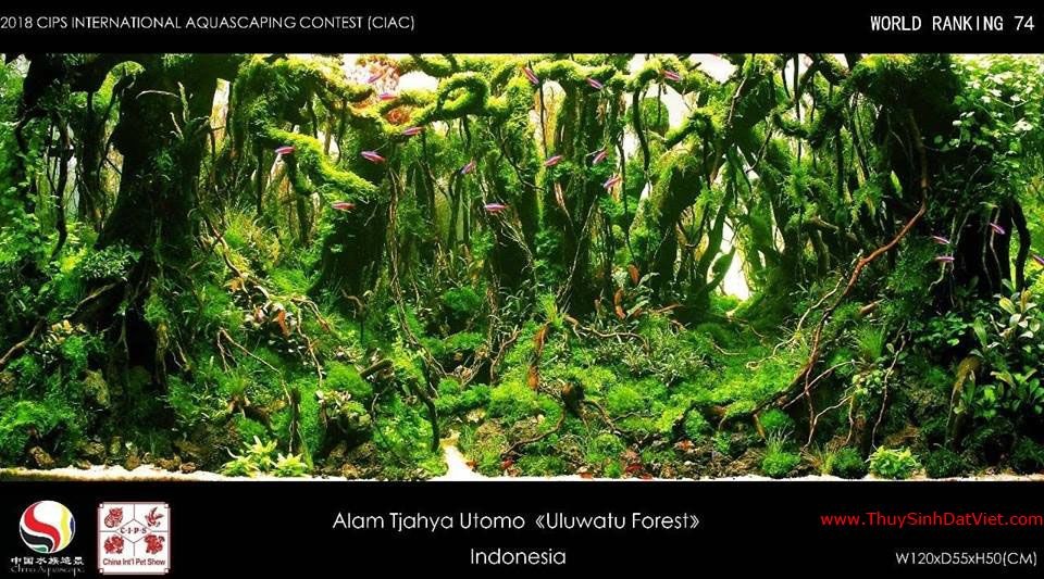 Hồ thủy sinh đạt hạng 74 trong cuộc thi CIAC 2018 Hồ thủy sinh đạt hạng 74 trong cuộc thi CIAC 2018