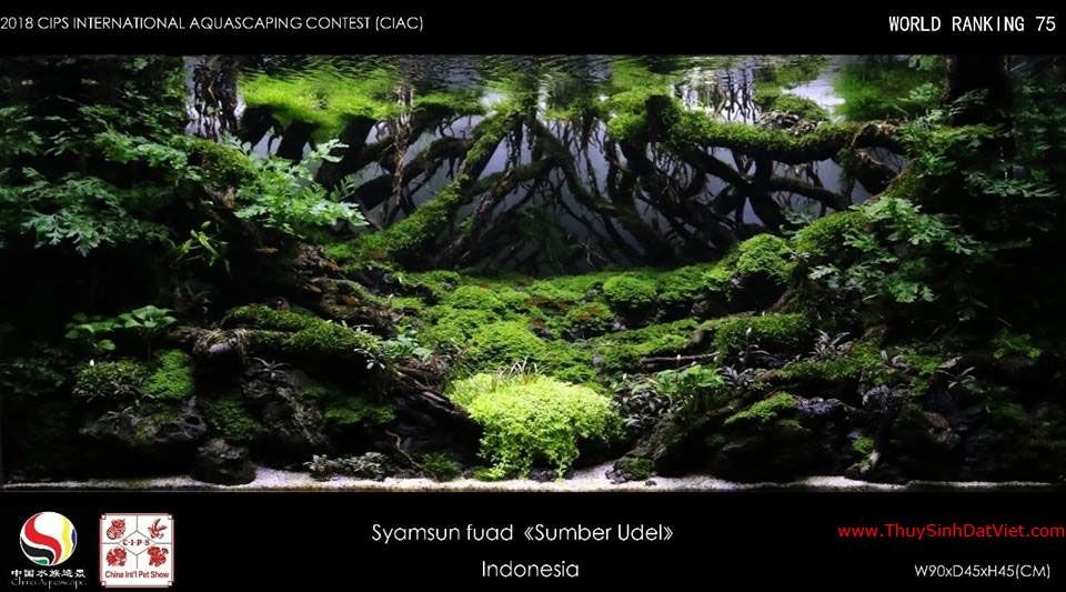 Hồ thủy sinh đạt hạng 75 trong cuộc thi CIAC 2018 Hồ thủy sinh đạt hạng 75 trong cuộc thi CIAC 2018