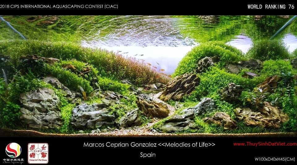 Hồ thủy sinh đạt hạng 76 trong cuộc thi CIAC 2018 Hồ thủy sinh đạt hạng 76 trong cuộc thi CIAC 2018