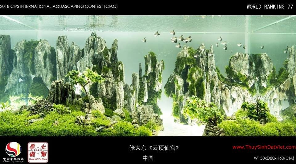 Hồ thủy sinh đạt hạng 77 trong cuộc thi CIAC 2018 Hồ thủy sinh đạt hạng 77 trong cuộc thi CIAC 2018