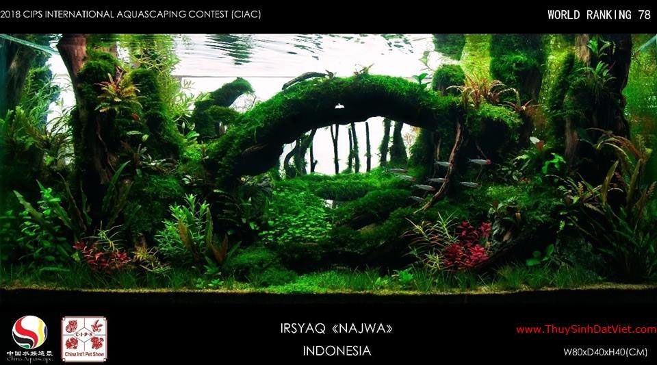 Hồ thủy sinh đạt hạng 78 trong cuộc thi CIAC 2018 Hồ thủy sinh đạt hạng 78 trong cuộc thi CIAC 2018