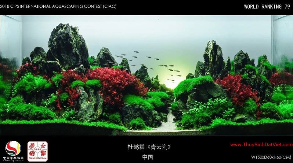 Hồ thủy sinh đạt hạng 79 trong cuộc thi CIAC 2018 Hồ thủy sinh đạt hạng 79 trong cuộc thi CIAC 2018