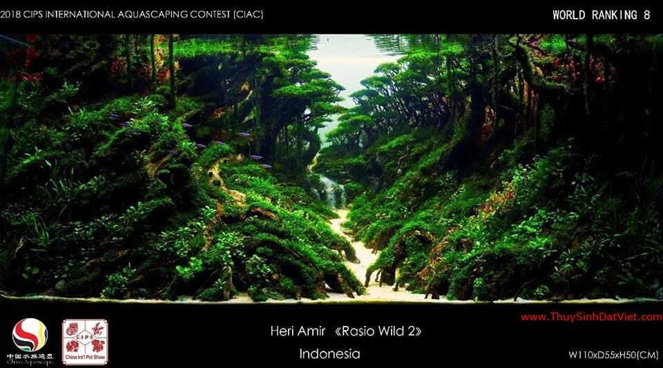 Hồ thủy sinh đạt hạng 8 trong cuộc thi CIAC 2018 Hồ thủy sinh đạt hạng 8 trong cuộc thi CIAC 2018