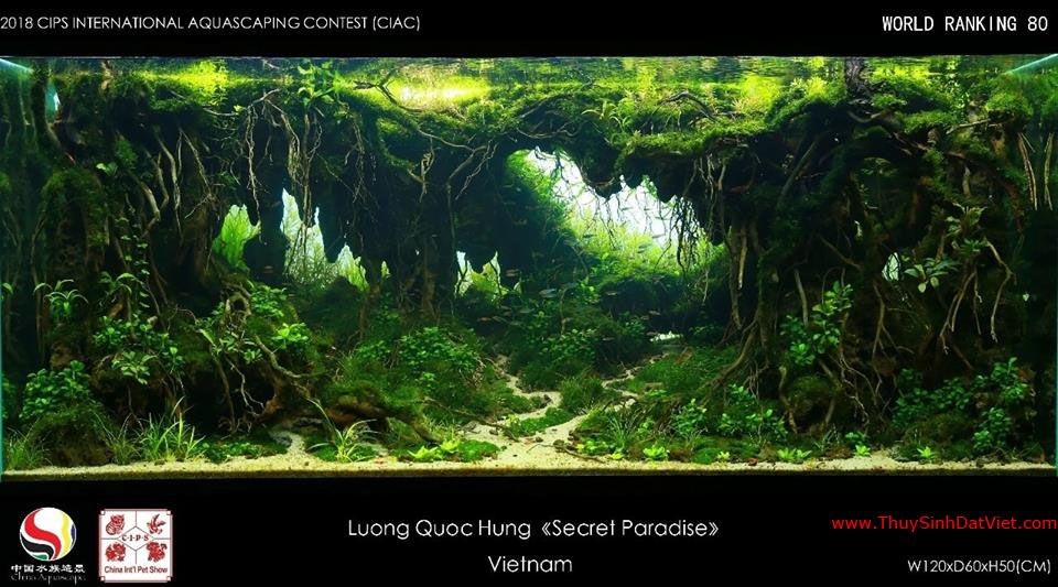 Hồ thủy sinh đạt hạng 80 trong cuộc thi CIAC 2018 Hồ thủy sinh đạt hạng 80 trong cuộc thi CIAC 2018