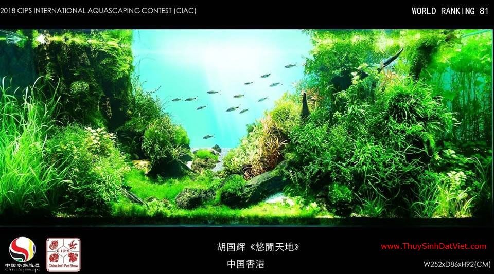 Hồ thủy sinh đạt hạng 81 trong cuộc thi CIAC 2018 Hồ thủy sinh đạt hạng 81 trong cuộc thi CIAC 2018