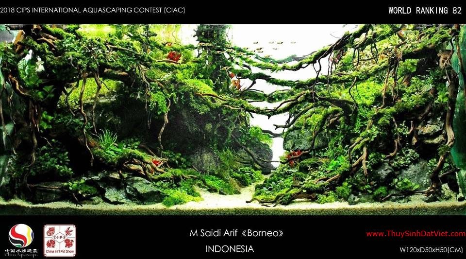 Hồ thủy sinh đạt hạng 82 trong cuộc thi CIAC 2018 Hồ thủy sinh đạt hạng 82 trong cuộc thi CIAC 2018