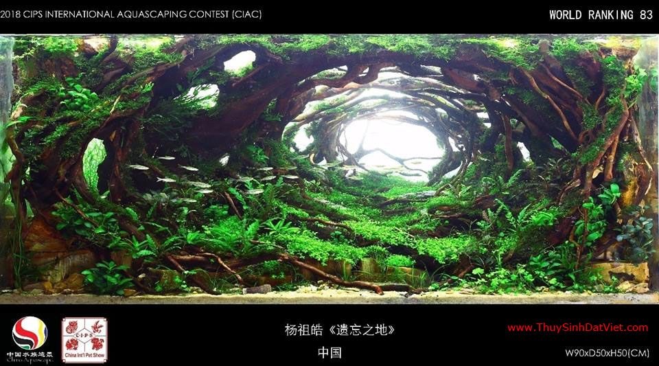 Hồ thủy sinh đạt hạng 83 trong cuộc thi CIAC 2018 Hồ thủy sinh đạt hạng 83 trong cuộc thi CIAC 2018