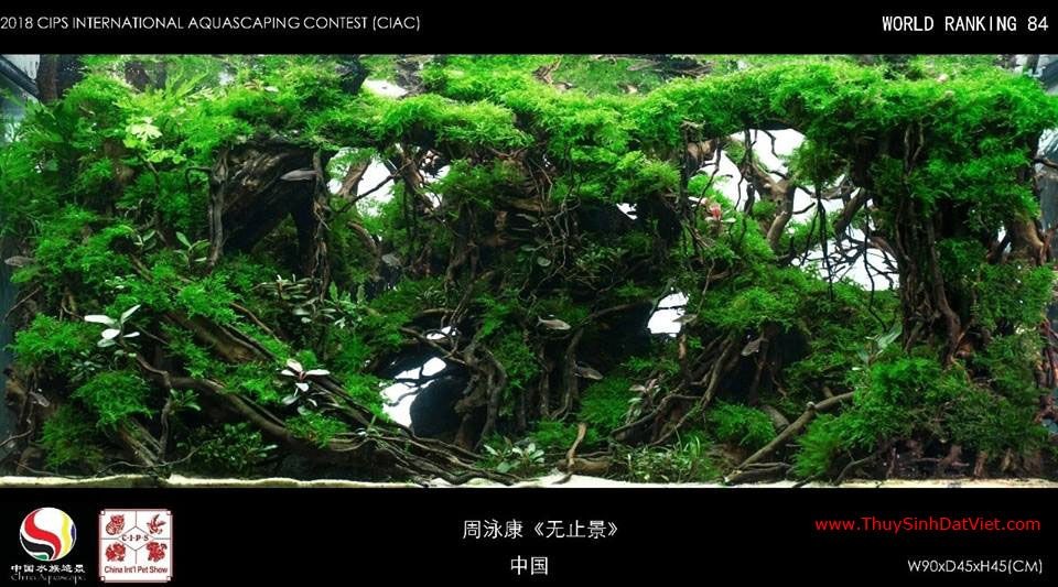 Hồ thủy sinh đạt hạng 84 trong cuộc thi CIAC 2018 Hồ thủy sinh đạt hạng 84 trong cuộc thi CIAC 2018