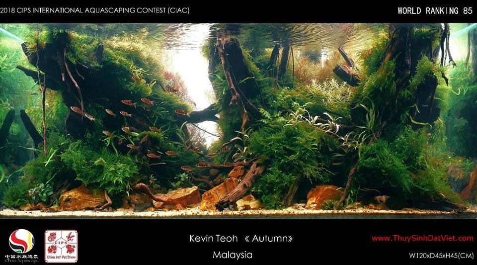 Hồ thủy sinh đạt hạng 85 trong cuộc thi CIAC 2018 Hồ thủy sinh đạt hạng 85 trong cuộc thi CIAC 2018