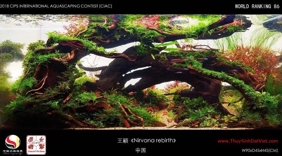Hồ thủy sinh đạt hạng 86 trong cuộc thi CIAC 2018 Hồ thủy sinh đạt hạng 86 trong cuộc thi CIAC 2018