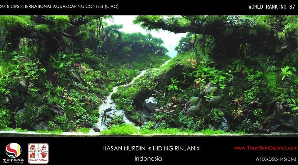 Hồ thủy sinh đạt hạng 87 trong cuộc thi CIAC 2018 Hồ thủy sinh đạt hạng 87 trong cuộc thi CIAC 2018