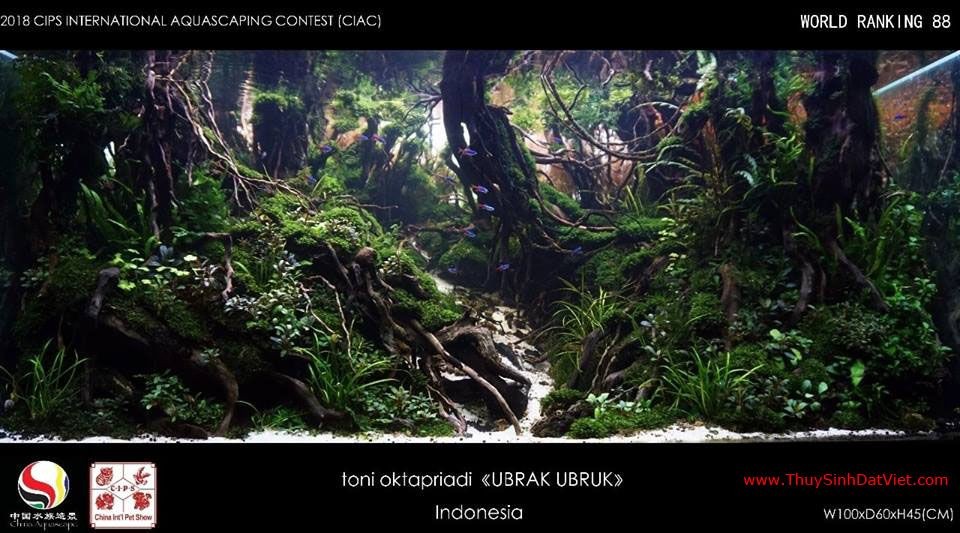 Hồ thủy sinh đạt hạng 88 trong cuộc thi CIAC 2018 Hồ thủy sinh đạt hạng 88 trong cuộc thi CIAC 2018