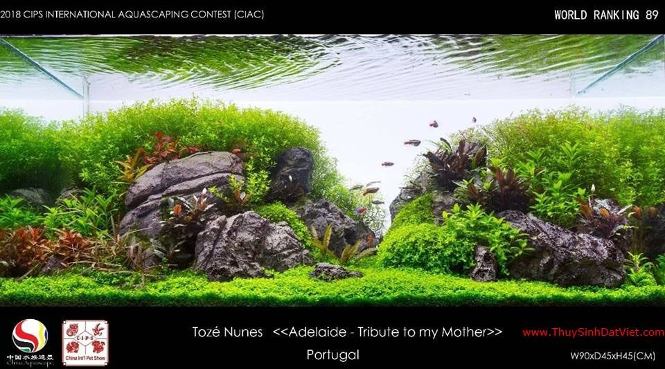 Hồ thủy sinh đạt hạng 89 trong cuộc thi CIAC 2018 Hồ thủy sinh đạt hạng 89 trong cuộc thi CIAC 2018