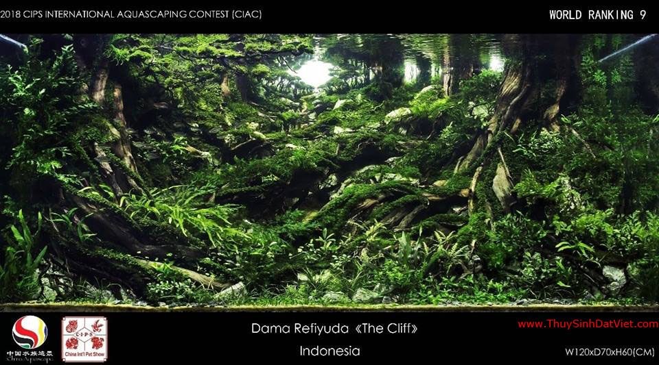 Hồ thủy sinh đạt hạng 9 trong cuộc thi CIAC 2018 Hồ thủy sinh đạt hạng 9 trong cuộc thi CIAC 2018