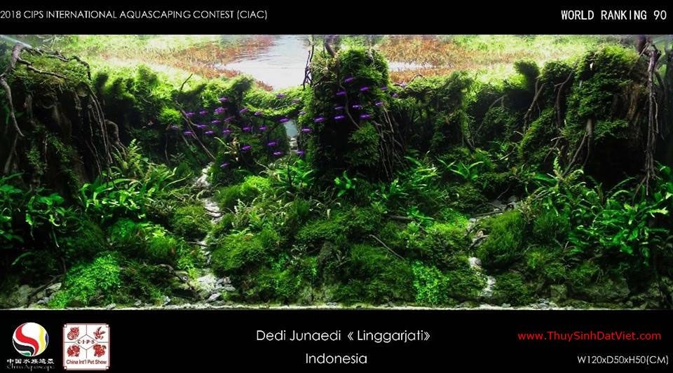 Hồ thủy sinh đạt hạng 90 trong cuộc thi CIAC 2018 Hồ thủy sinh đạt hạng 90 trong cuộc thi CIAC 2018