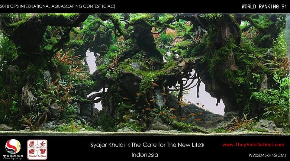 Hồ thủy sinh đạt hạng 91 trong cuộc thi CIAC 2018 Hồ thủy sinh đạt hạng 91 trong cuộc thi CIAC 2018