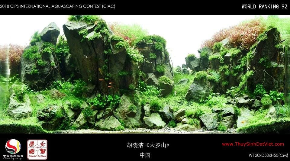 Hồ thủy sinh đạt hạng 92 trong cuộc thi CIAC 2018 Hồ thủy sinh đạt hạng 92 trong cuộc thi CIAC 2018