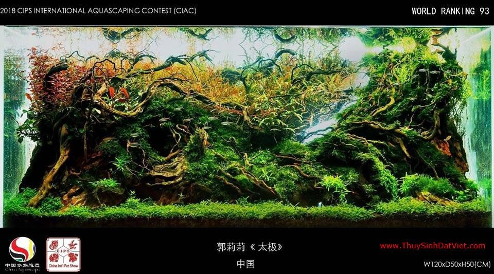 Hồ thủy sinh đạt hạng 93 trong cuộc thi CIAC 2018 Hồ thủy sinh đạt hạng 93 trong cuộc thi CIAC 2018