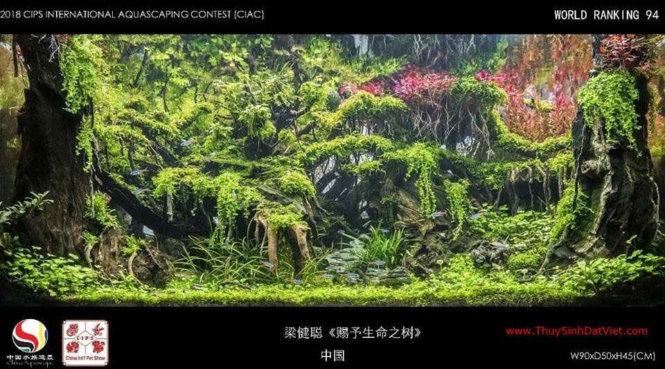 Hồ thủy sinh đạt hạng 94 trong cuộc thi CIAC 2018 Hồ thủy sinh đạt hạng 94 trong cuộc thi CIAC 2018