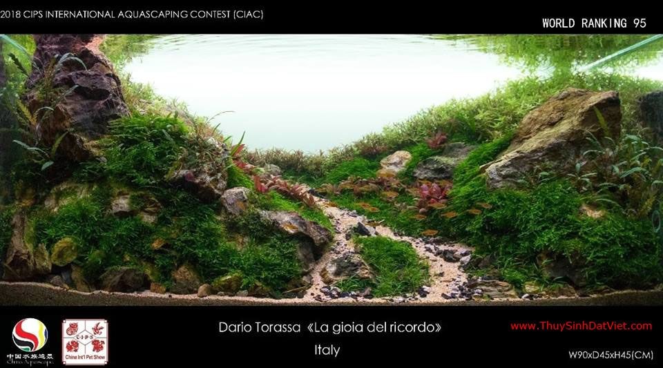 Hồ thủy sinh đạt hạng 95 trong cuộc thi CIAC 2018 Hồ thủy sinh đạt hạng 95 trong cuộc thi CIAC 2018