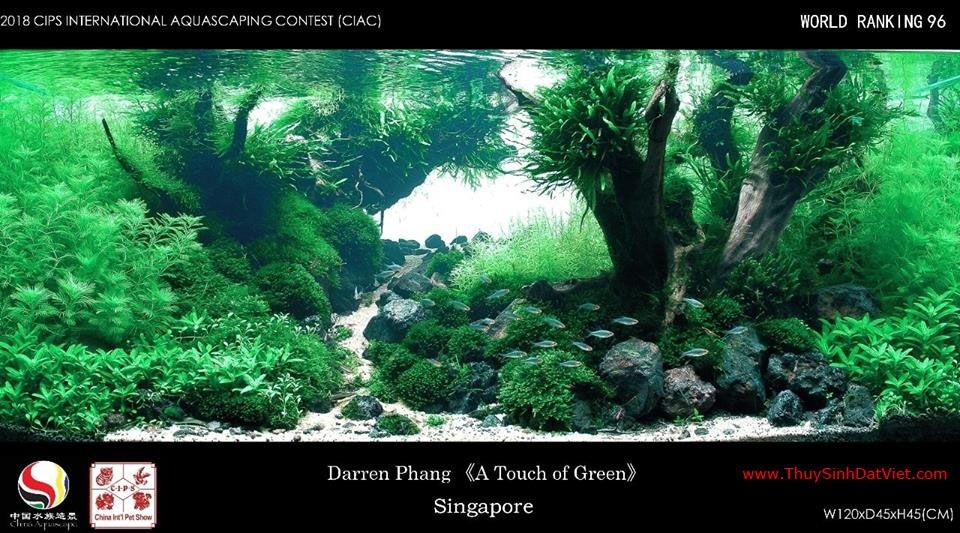 Hồ thủy sinh đạt hạng 96 trong cuộc thi CIAC 2018 Hồ thủy sinh đạt hạng 96 trong cuộc thi CIAC 2018