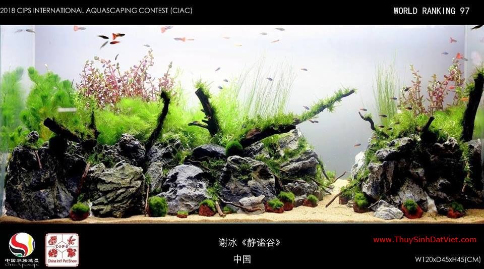 Hồ thủy sinh đạt hạng 97 trong cuộc thi CIAC 2018 Hồ thủy sinh đạt hạng 97 trong cuộc thi CIAC 2018