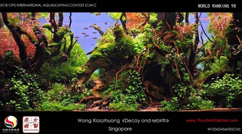 Hồ thủy sinh đạt hạng 98 trong cuộc thi CIAC 2018 Hồ thủy sinh đạt hạng 98 trong cuộc thi CIAC 2018